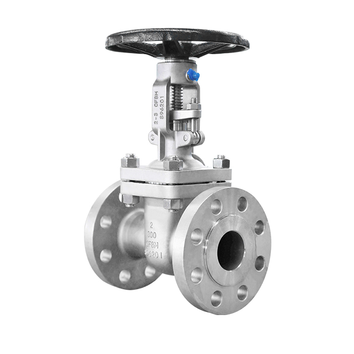 Industrial Gate Valve for Oil and Gas Projects
